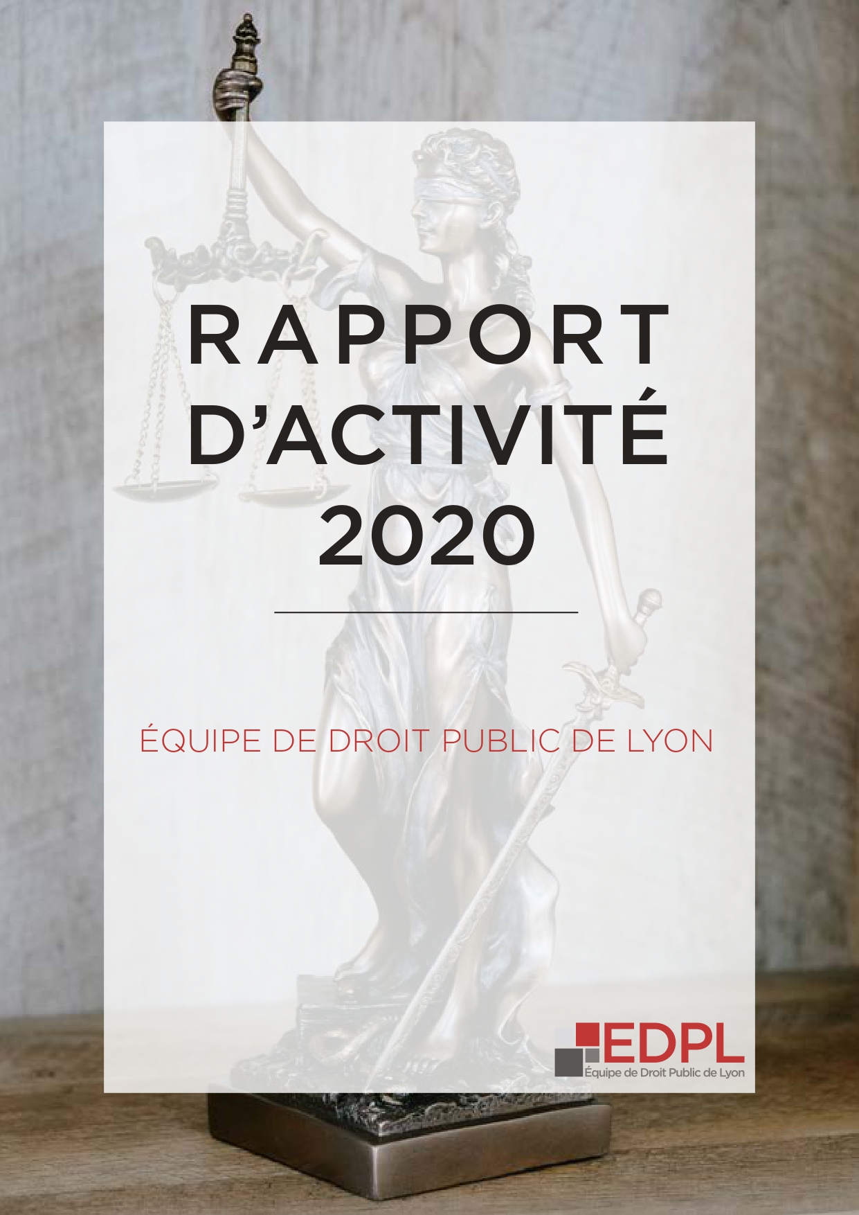 Rapport d'activités EDPL 2020